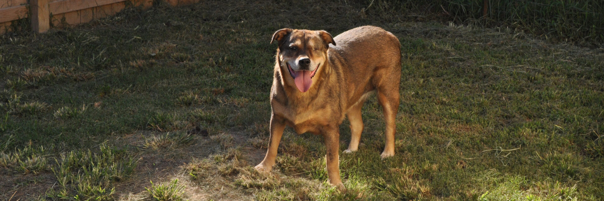 slider03
